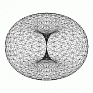 Tube Torus